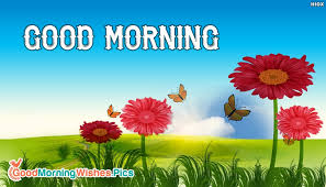 A collection of the top 59 good morning wallpapers and backgrounds available for download for free. Good Morning Download Free Goodmorningwishes Pics