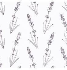 Hand Drawn Lavender Branch And Flowers Outline Vector Image On Vectorstock How To Draw Hands Lavender Tattoo Lavender