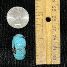 Image result for Turquoise 1972 Montgomery Ward