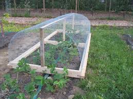 How to get rid of sparrows you do not want? Mary Lowther Column Who Knew Gardening Required Construction Skills Cowichan Valley Citizen