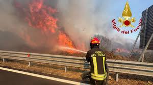 Trend Google: incendio olbia