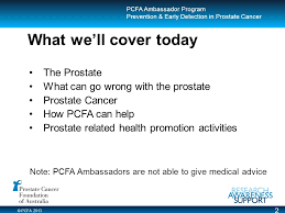 Prostate cancer is a common type of cancer in men, according to the mayo clinic. 1 Ambassador Program Presentation Prevention Early Detection Prostate Cancer Ppt Download