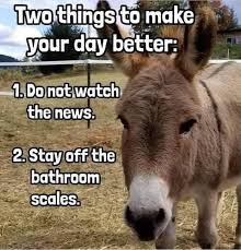 Ana Waters - Ijs...????? #selfcare #selfhelp #donkey #nonews #scale # scales #weight #cheerup #smile #emotionalhealth #silly #shareyourstory  #anawatersbooks #anawatersauthor | Facebook