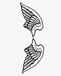 Download sketsa gambar burung elang ini teknik mewarnainya kumpulan sketsa gambar burung elang hantu merpati merak Sketsa Gambar Burung Beo Free Transparent Clipart Clipartkey