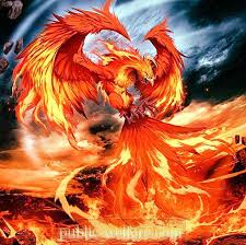 When it dies, the bird bursts into flames and is reborn from its ashes, making it immortal. Phoenix Bird In Feng Shui Culture 2021