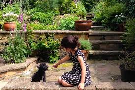 Making your job search easy. Gardening Jobs For June Gardening Advice From Ashridge Nurseries