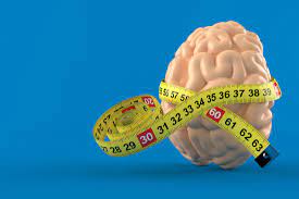 Rate of new cases and deaths per 100,000: Does Brain Size Predict Brain Cancer Risk