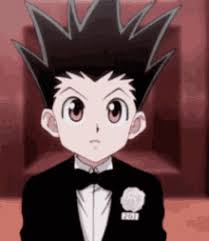 Hunter x hunter 2011 hunter x hunter. Hunter X Hunter Gif Gifs Tenor