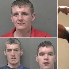 In court in Hull this week: A menace, a tourist and a fool