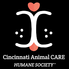 We have been serving the greater cincinnati and northern kentucky area for over 14 years. Adopt A Shelter Dog Or Cat From The Hamilton County Animal Shelter