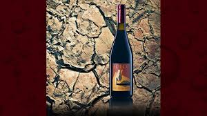 A red wine from lambrusco produced by paltrinieri produced with lambrusco salamino grapes. Video Cantina Paltrinieri