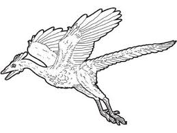 Pterodactyl coloring pages are a collection of images that lived on our planet about a hundred and fifty million years ago. Pterodactyl Colouring Pages Part 1