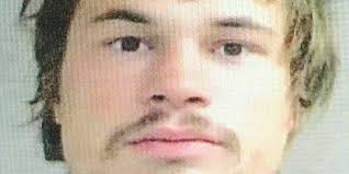 Police: Muncie man used log to knock out acquaintance