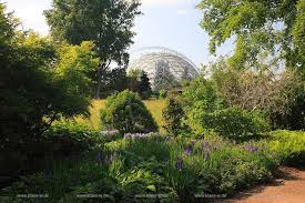 We did not find results for: Heinrich Heine Universitat