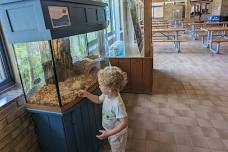 Preschool Explorers at the Mills