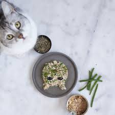 Ev Yapimi Kedi Mamalari Okumadan Gecme Gastromanya