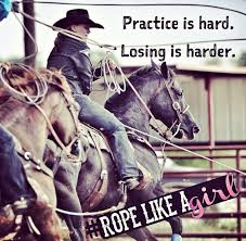 Pin On Horses