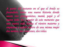 Estimulacion Intrauterina