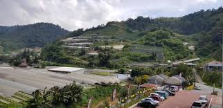 These stays are highly rated for location, cleanliness, and more. Peony Square Residences In Cameron Highlands Malaysia 60 Reviews Prices Planet Of Hotels