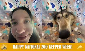 Wild Spirit Wolf Sanctuary plans to go live.