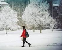 Image of someone shivering in a tshirt with snow in the background