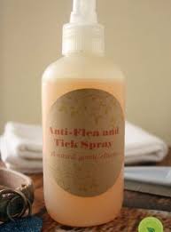 Ticks are parasites that dwell in wooded and dense vegetative areas. Diy Natural Flea And Tick Spray For Dogs Home Recipe Naturally Mindful