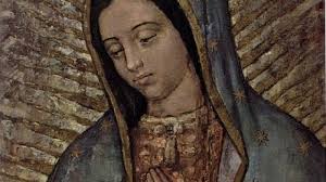 Some, hearing the assumption described by the eastern term dormition, incorrectly assume that the falling asleep means that mary was assumed into heaven before she could die. I Am Your Mother Our Lady Of Guadalupe District Of The Usa