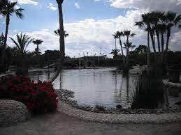 Una finca en calima con piscina y piscina para niños, discoteca con luces, 11 habitaciones, con capacidad de 36 personas, salon de. Finca El Lago Bild Von Finca El Lago Elche Tripadvisor