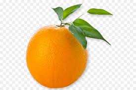 136 transparent png of naranja. Naranja Fondo De Escritorio La Fruta Imagen Png Imagen Transparente Descarga Gratuita