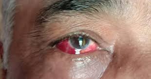 In 2004, he handed over the reign of shiv sena to his son, uddhav thackeray. Mumbai Shiv Sena Workers Beat Up Retired Navy Officer For Sharing Uddhav Thackeray Cartoon