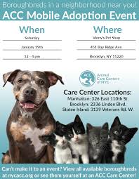 Every month, the petco foundation hosts or sponsors adoption events nationwide. Animal Care Centers Of Nyc Adoptions At Vinny S Pet Shop Office Of The Brooklyn Borough President Eric Adams