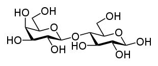 Carbohydrate Wikipedia