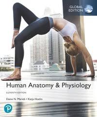 Anatomy and physiology coloring workbook: Human Anatomy Physiology Ebook Global Edition Elaine N Marieb Elaine N Marieb Katja N Hoehn Ebok 9781292260938 Bokus