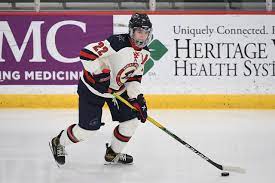 Nwhl 2021 Draft Recap
