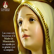 REGALEMOS UNA ROSITA A MARÍA DIOS TE SALVE MARÍA LLENA ERES DE GRACIA EL  SEÑOR ES CONTIGO BENDITA TU ERES ENTRE TODAS LAS MUJERES Y BENDITO ES EL  FRUTO DE TU VIENTRE