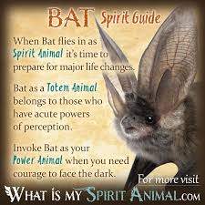 I try not to add a lot of frosting on what i'm doing. Bat Symbolism Meaning Spirit Totem Power Animal