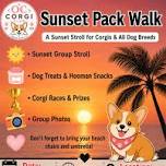 Sunset Pack Walk - Huntington Dog Beach