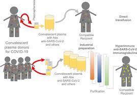Sotrovimab must be administered after dilution by intravenous (iv) infusion. Integrative Overview Of Antibodies Against Sars Cov 2 And Their Possible Applications In Covid 19 Prophylaxis And Treatment Microbial Cell Factories Full Text