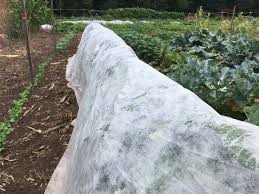 Growing a vegetable garden is a great way to bring fresh, nutritious veggies to your table. Using Row Covers In The Garden Unh Extension