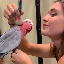 Bird Wants To Be Just Like His Human Mom