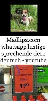 Madlipz Com Whatsapp Lustige Sprechende Tiere Deutsch Youtube 2 Whatsapp Lustig Sprechende Tiere Lustig