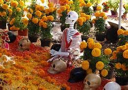 Funeraria del Angel J.T. Oswald Obituary