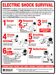 Electric Shock Survival Sign Poly