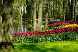 With spring coming soon, it's time to take a look at some spring flowers that are perfect for our garden at this time of the year. 25 Most Beautiful Gardens In The World Top Gardens To Visit
