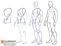 Fullbody Step By Step 1 Kibbitzer On Patreon Figure Drawing Reference Human Anatomy Drawing Anatomy Drawing
