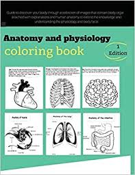 These fun and easy alphabet coloring pages are a great way for little ones to become familiar with the letter p! Buy Anatomy And Physiology Coloring Book Over 30 Human Body Coloring Pages Interesting And Educational Way To Learn About The Human Body For Kids Boys Anatomy For Kids For