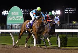 Search the world's information, including webpages, images, videos and more. Vxp4k1hdscm8lm