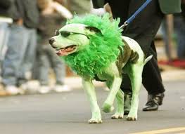 Get it as soon as tue, mar 30. Why Dying Your Dog Hair Is Unsafe