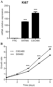 My husband called back concerned because of increase, and now i am scheduled for ct & bone scans as well as mammogram. Assessing Stemness And Proliferation Properties Of The Newly Established Colon Cancer Stem Cell Line Csc480 And Novel Approaches To Identify Dormant Cancer Cells