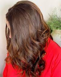 Naturtint dark blonde 6n permanent hair color, 5.6 fl oz. 14 Chestnut Brown Hair Colors You Gotta See Next Photos